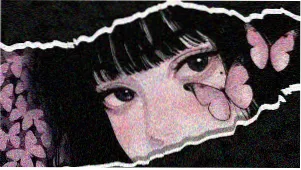 动画与综艺精选单元封面